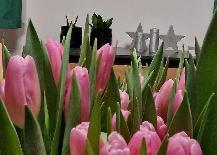 Apartament Z Dusza